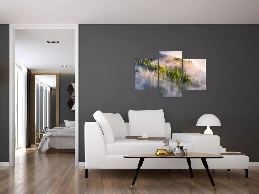 Tablou peisajului montan (90x60 cm)