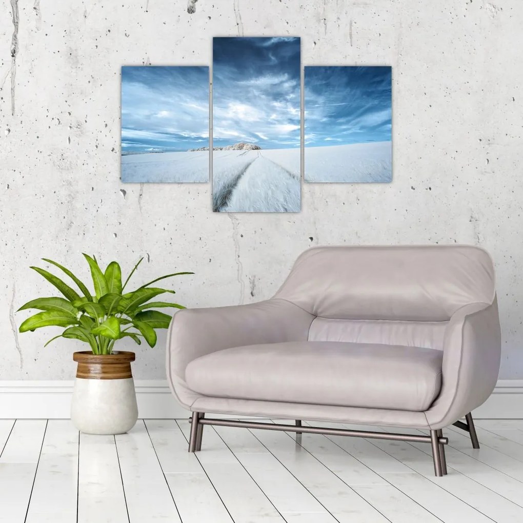 Tablou - Câmp (90x60 cm)