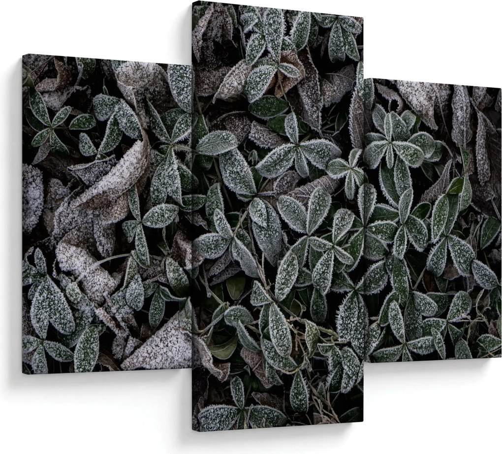 Tablou - Plante înghețate (90x60 cm)