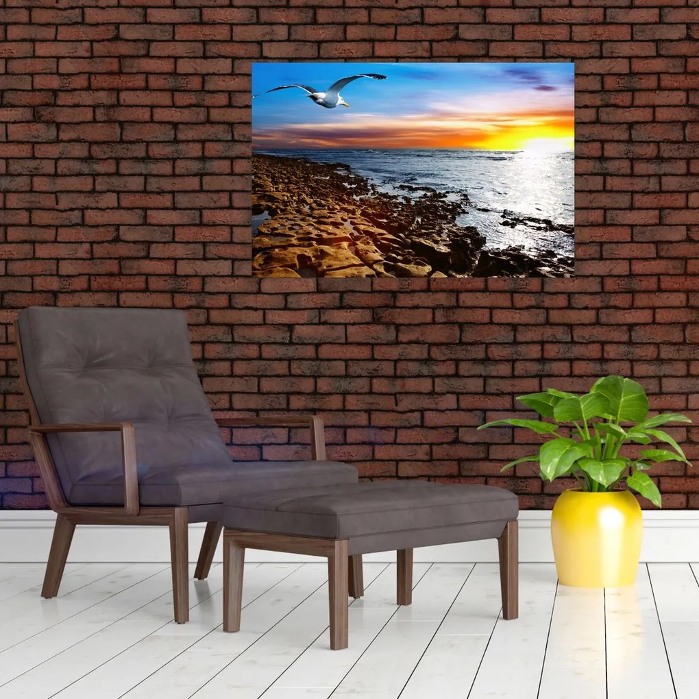 Tablou - Pescărușul zboară deasupra coastei (90x60 cm)