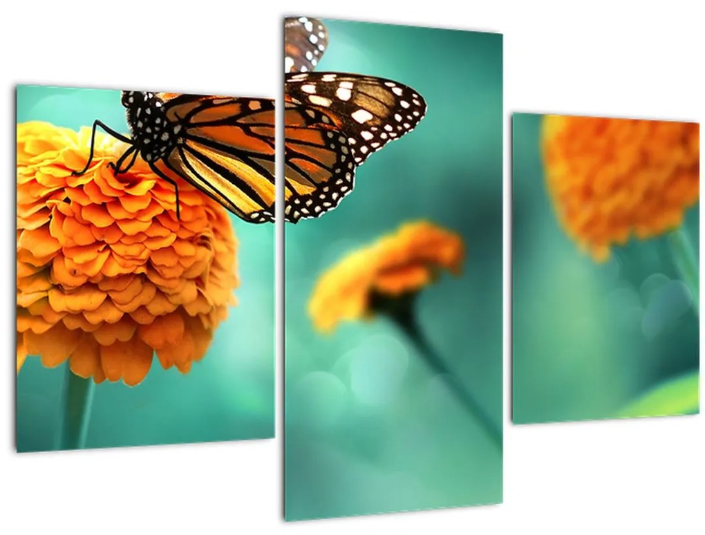 Tablou cu fluture (90x60 cm)