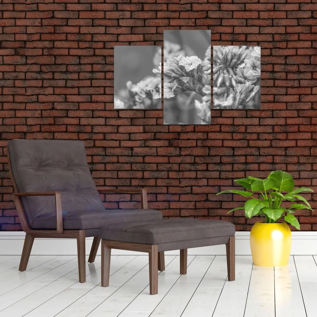 Tablou - Flori uscate (90x60 cm)