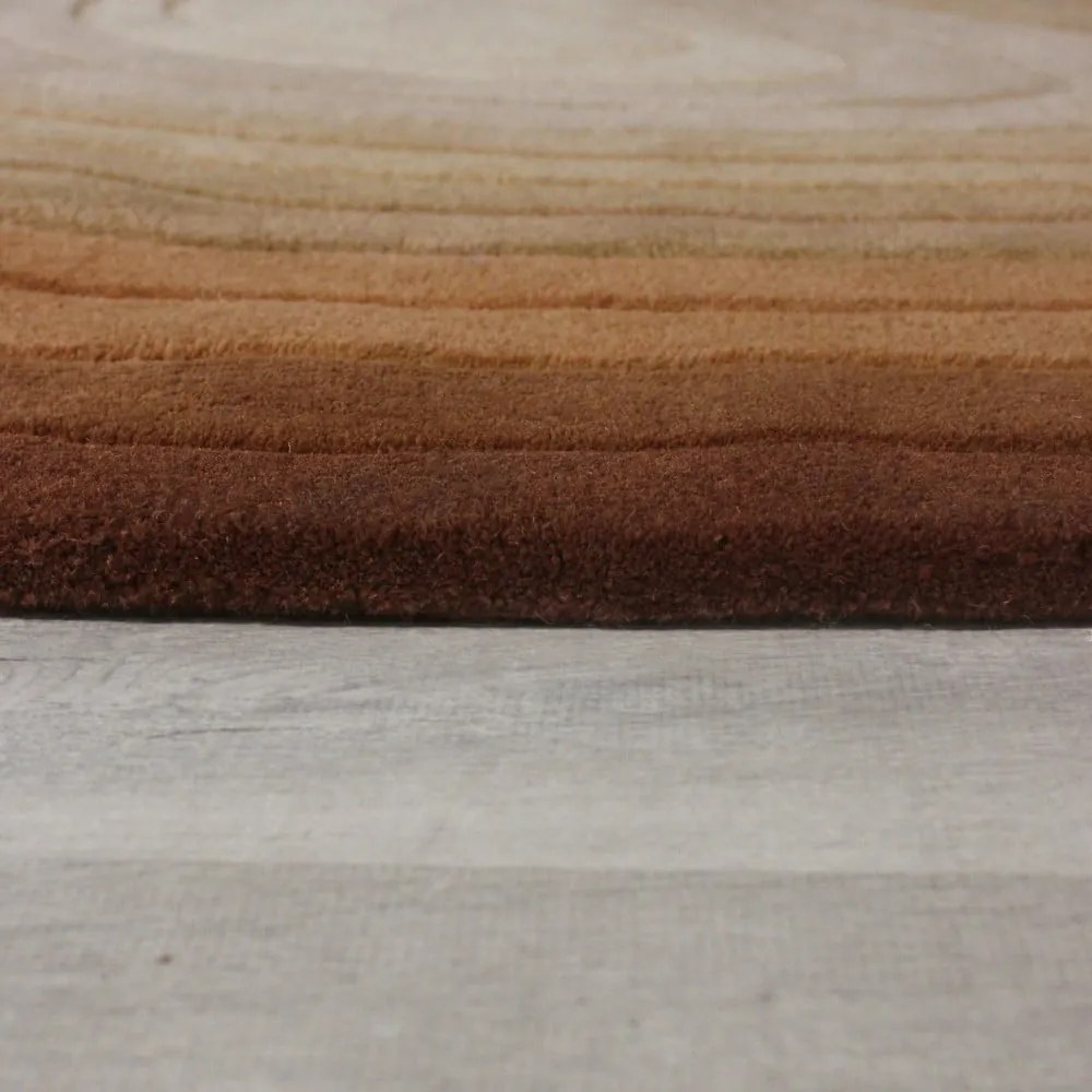 Covor cărămiziu din lână 200x290 cm Puddle Ombre Wool – Flair Rugs