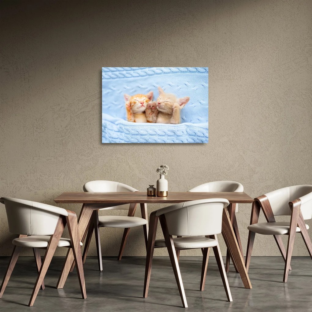 Tablou pe sticlă - Pisicuțe adormite (70x50 cm)