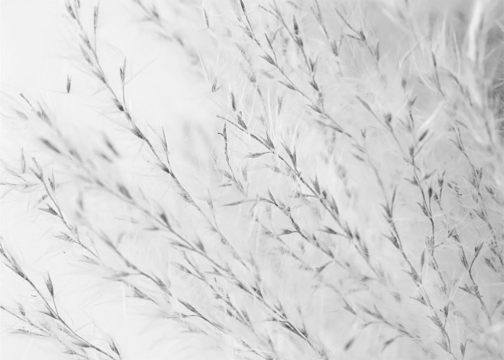 Tablou - Iarbă de pampas N⁰2 (70x50 cm)