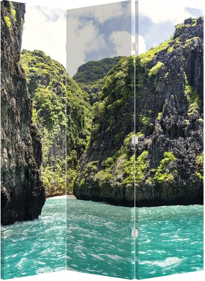 Paravan - Râu montan (126x170 cm)