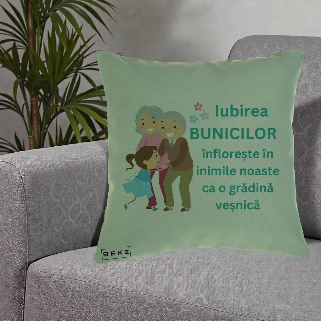 Perna personalizata bunici: Iubirea bunicilor infloreste, cu nepoata, 40x40 cm cu Umplutura, Verde, BEKZ