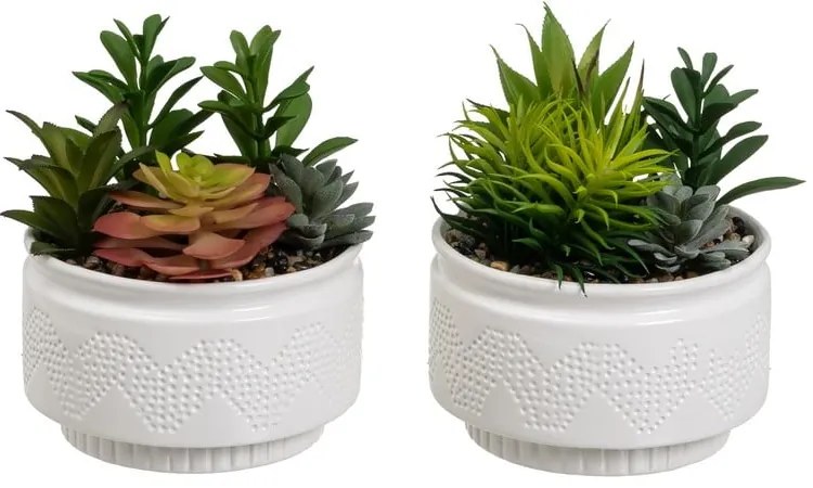 Plante artificiale 2 buc. (înălțime 19 cm) Cactus – Casa Selección