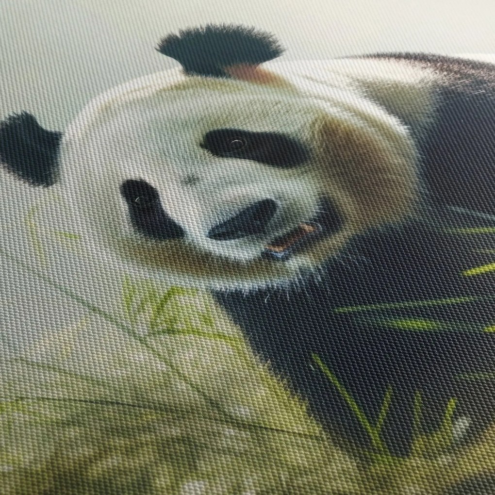 Tablou - Panda (70x50 cm)