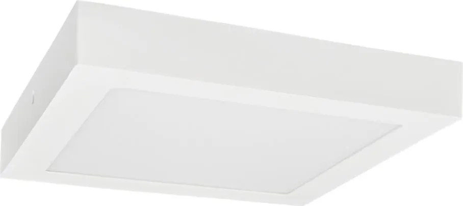 Plafonieră LED FENIX LED/12W/230V 3800K d. 17 cm alb zăpadă