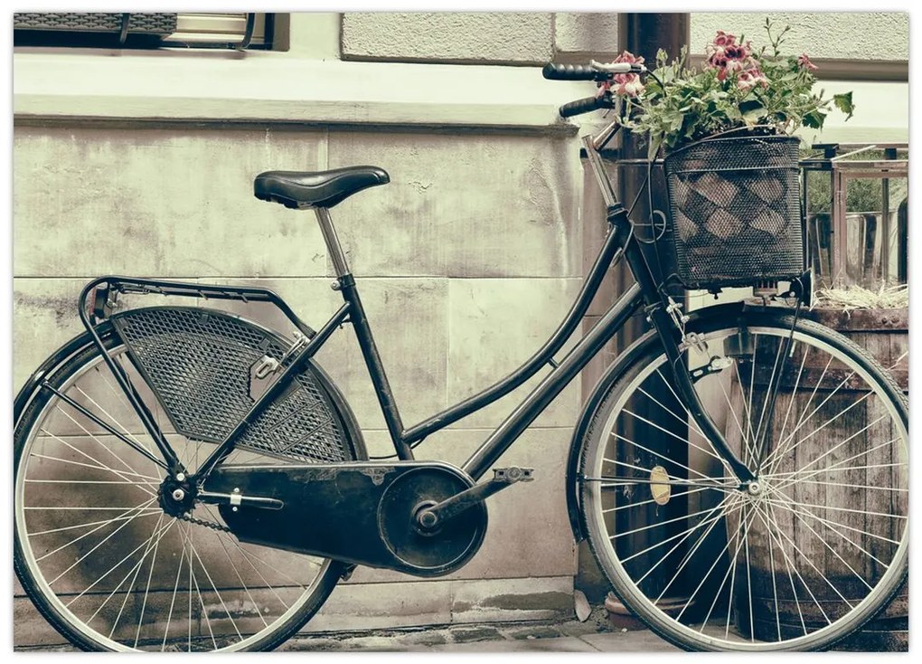Tablou pe sticlă - Bicicleta de epocă cu flori (70x50 cm)