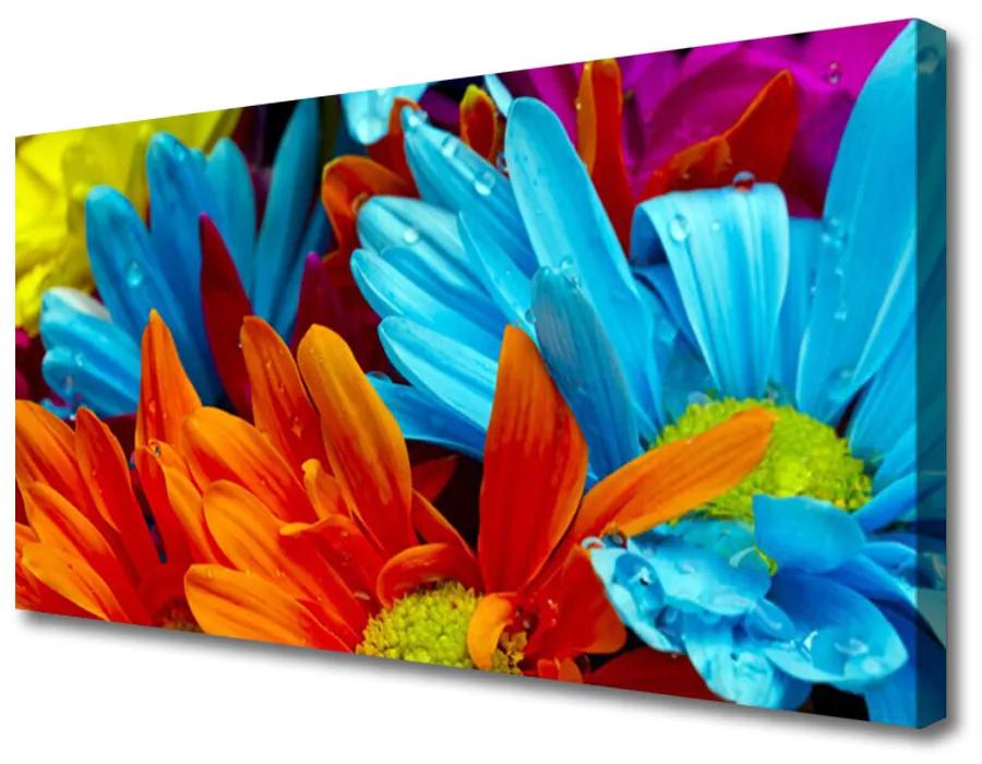 Tablou pe panza canvas Flori Floral Roșu Albastru Portocaliu
