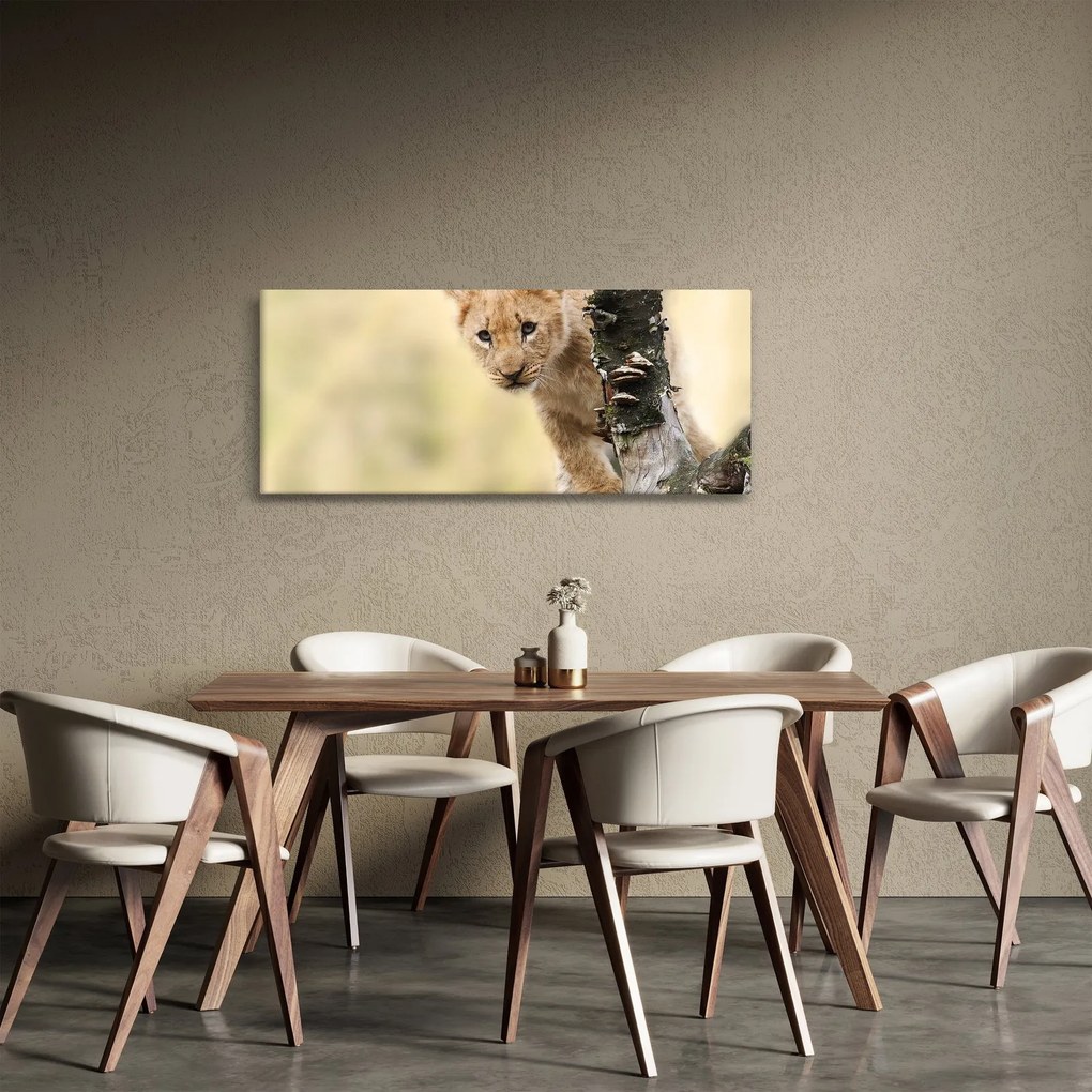 Tablou cu pui de leu (120x50 cm)