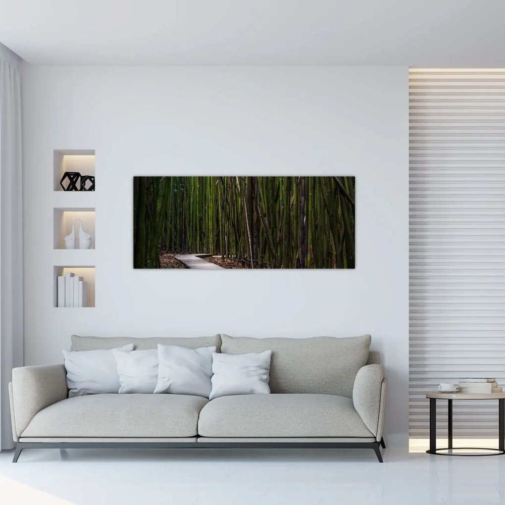 Tablou - Între bambus (120x50 cm)