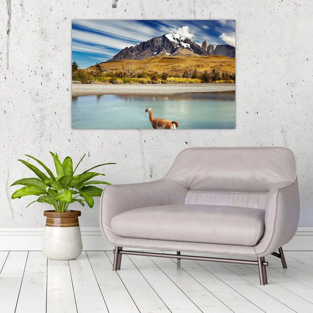 Tablou - Parcul Național Torres del Paine (90x60 cm)