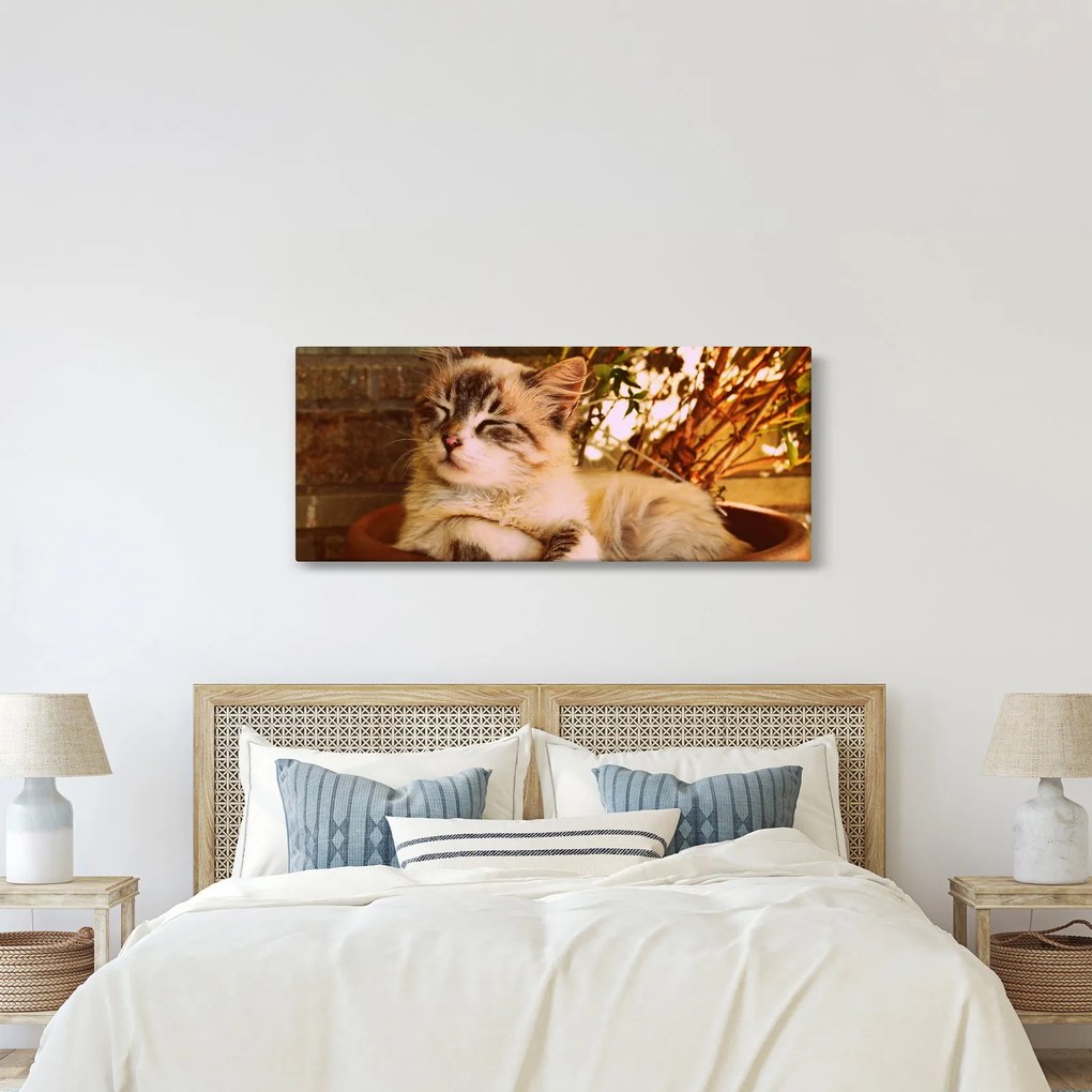 Tablou cu pisica în ghiveci (120x50 cm)