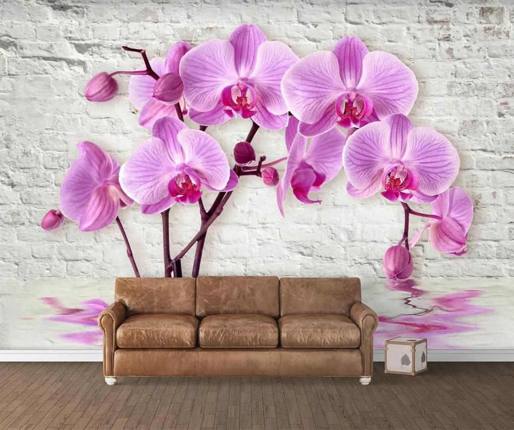 Fototapet 3D, Orhidee roz de marmura pe fundal alb de perete Art.05008