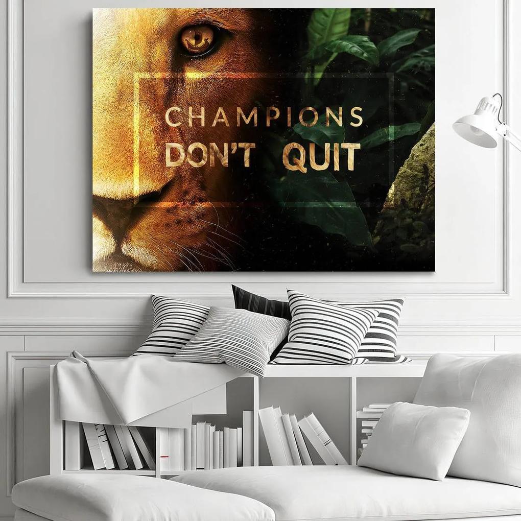 Champions don&#039;t quit