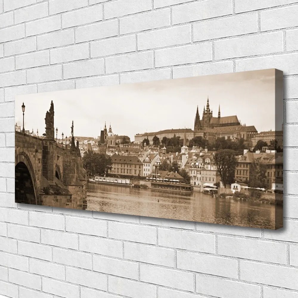 Tablou pe panza canvas Praga Podul Peisaj Sepia