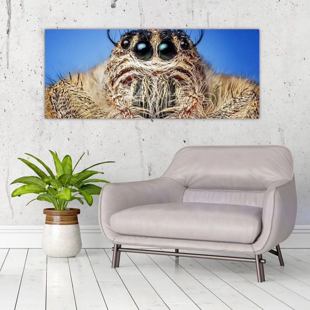 Tablou cu detalii a unui pâianjen (120x50 cm)