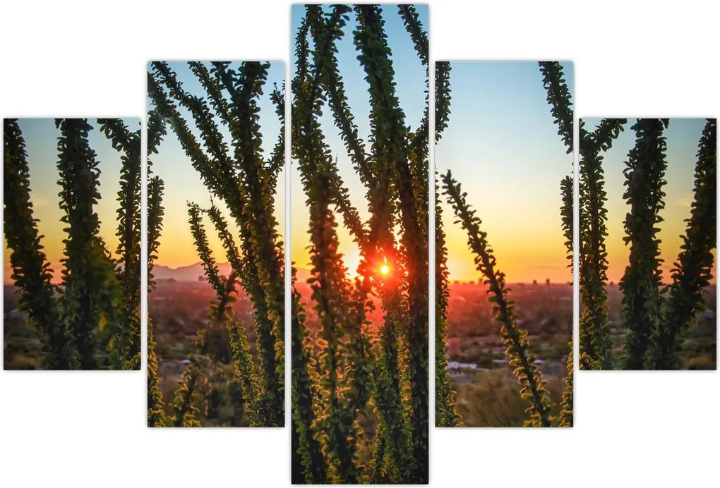 Tablou - Plante (150x105 cm)