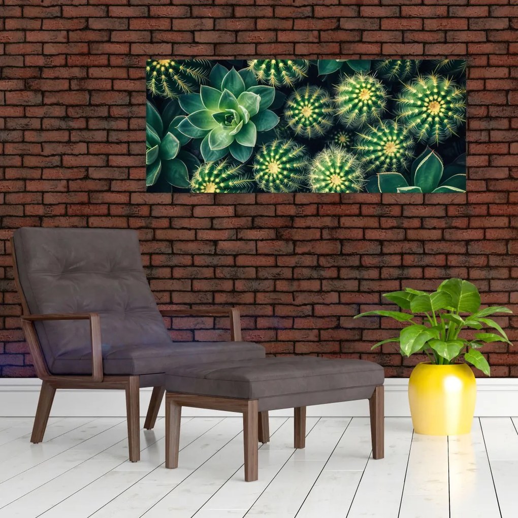 Tablou - Cactuși (120x50 cm)
