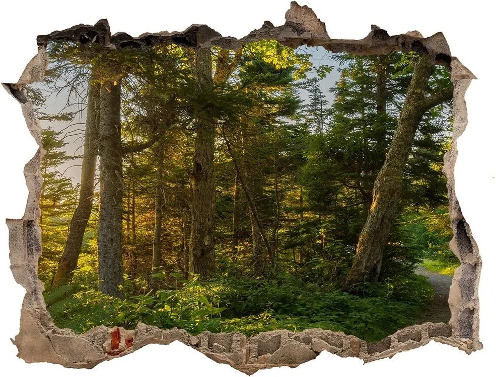 Autocolant de perete gaură 3D Pădure