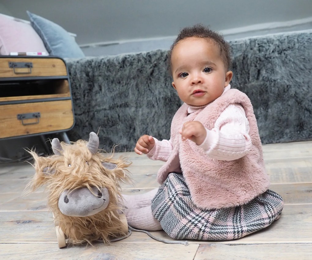 Little Bird Told Me - Hubert Highland Cow Pull Along Toy cu roti detasabile, pentru copii