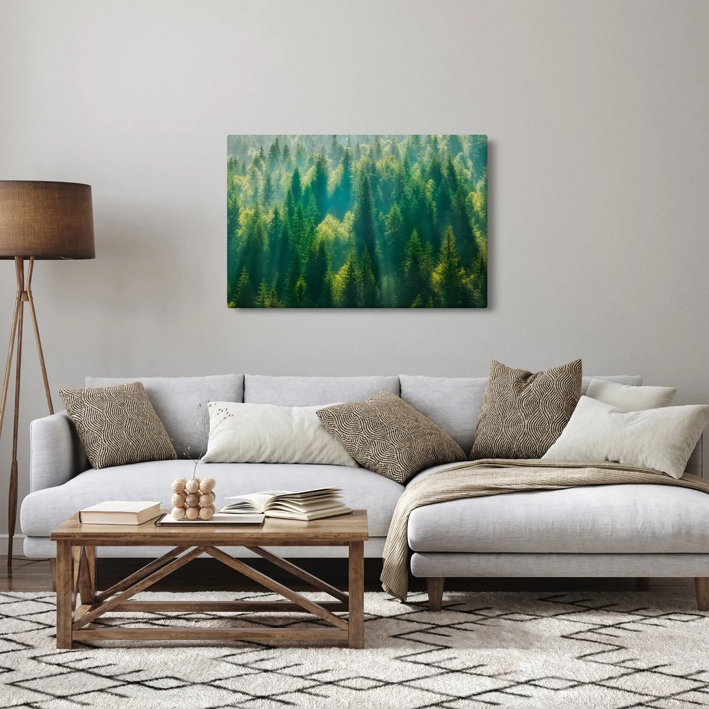 Tablou - Pădurea de brazi (90x60 cm)