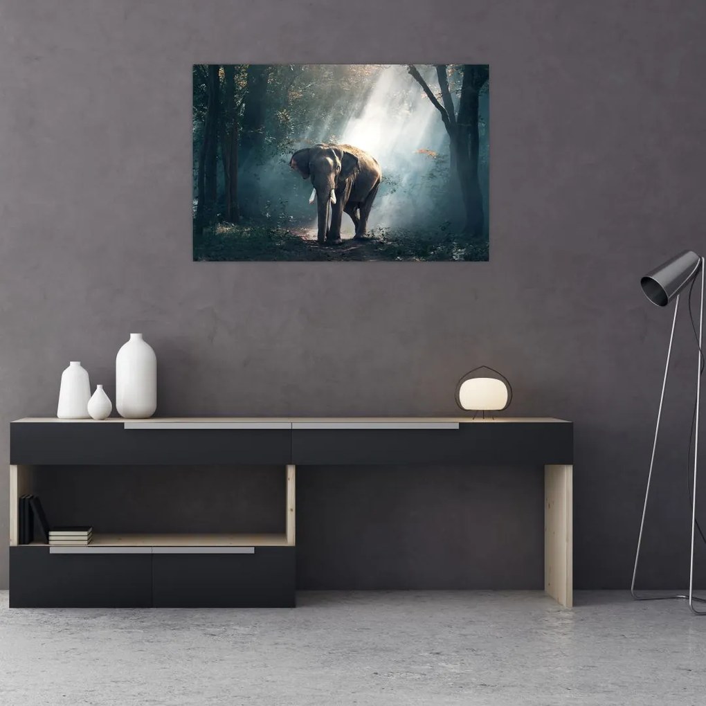 Tablou cu elefant în djunglă (90x60 cm)