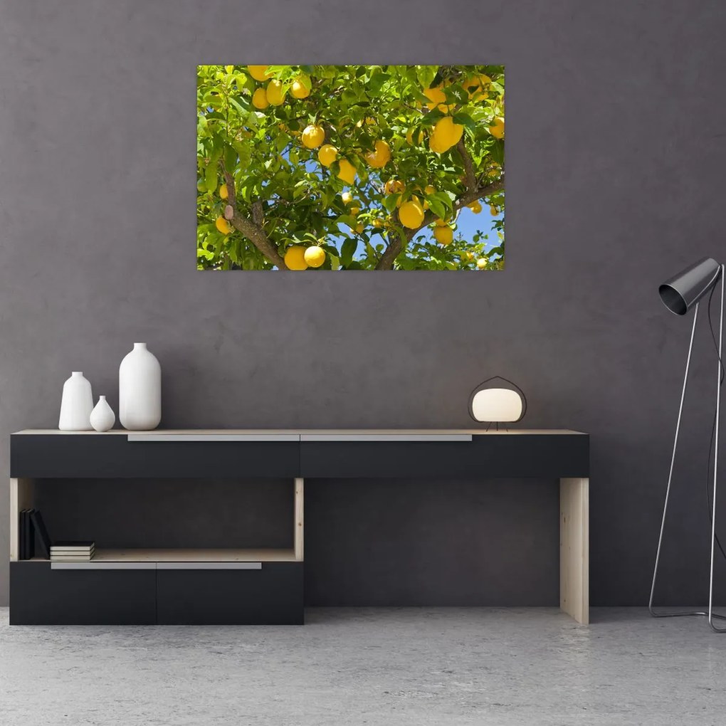 Tablou - Lămâiță (90x60 cm)