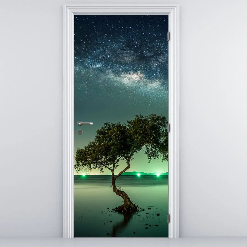 Fototapet pentru ușă - Cer de noapte (95x205cm)