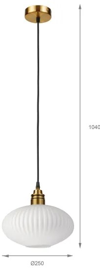 Lustră suspendată pe cablu HECTOR 1xE27/15W/230V Ø 25 cm