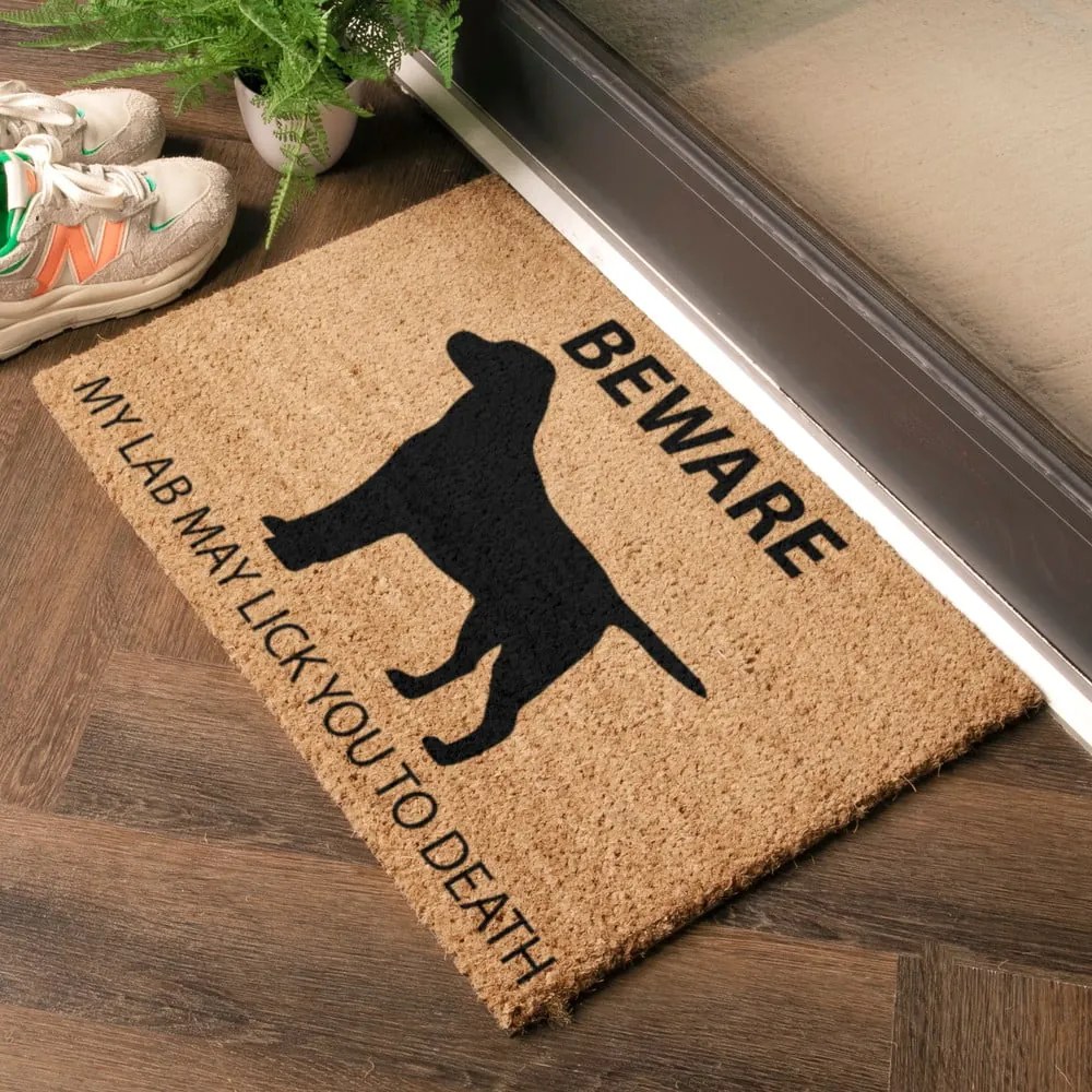 Covoraș de intrare din fibre de nucă de cocos 40x60 cm Labrador – Artsy Doormats