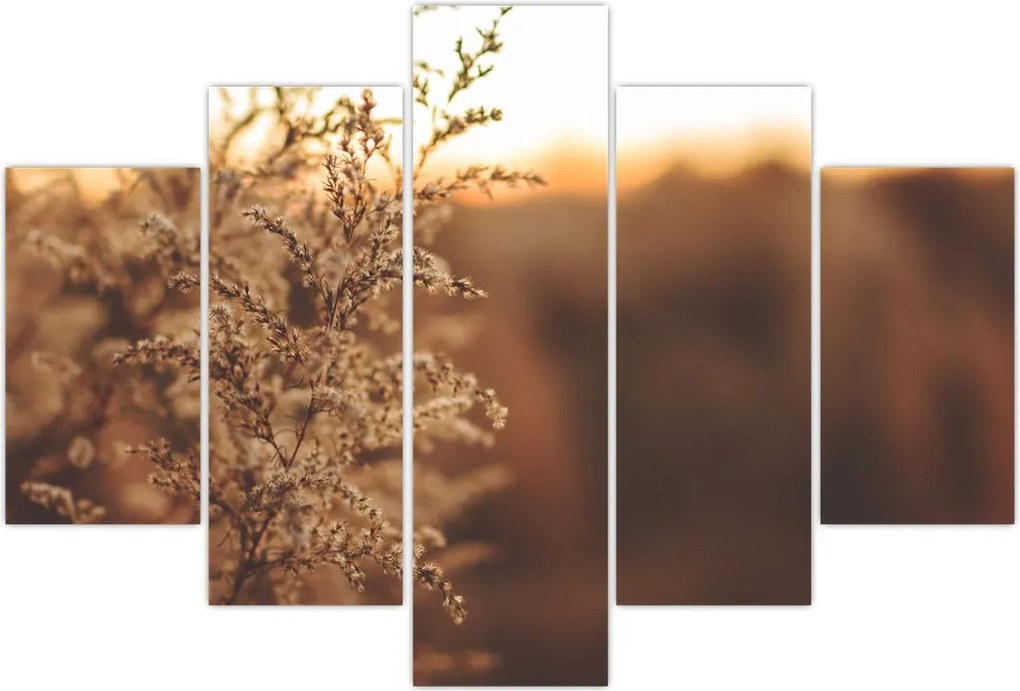 Tablou - Iarba înflorită (150x105 cm)