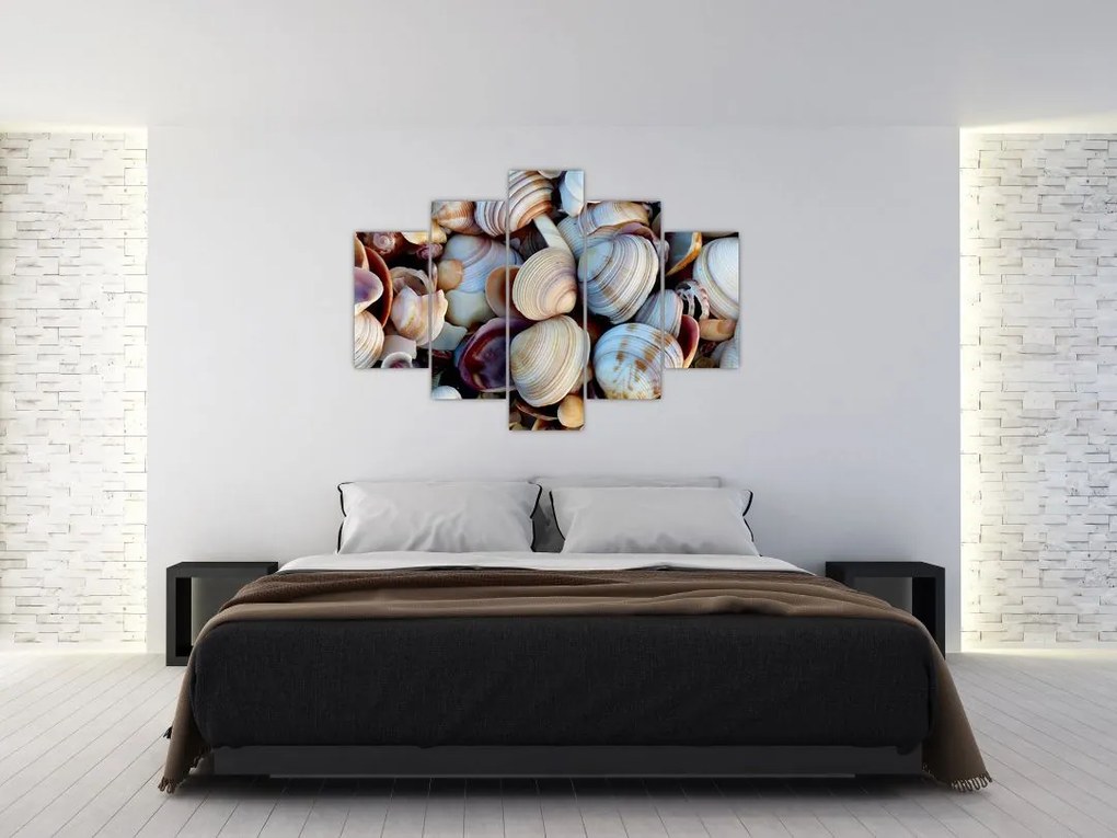 tablou cu scoici (150x105 cm)