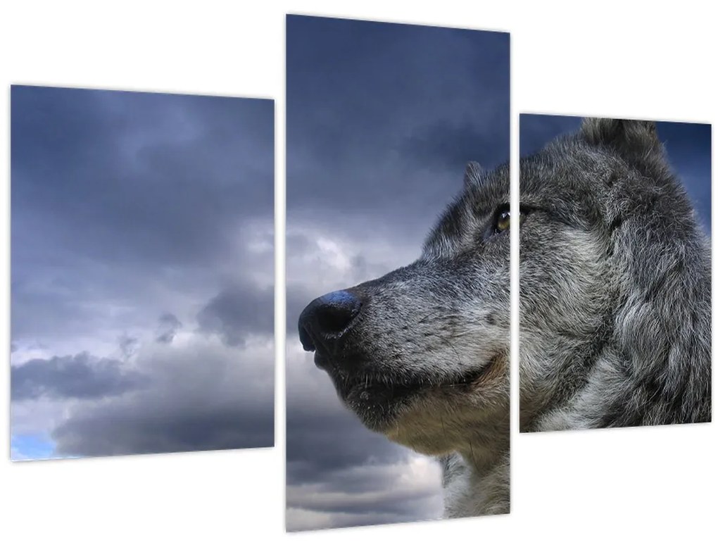 Tablou - Cap de lup (90x60 cm)