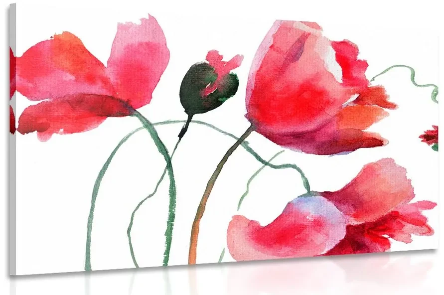 Tablou flori de mac inedite