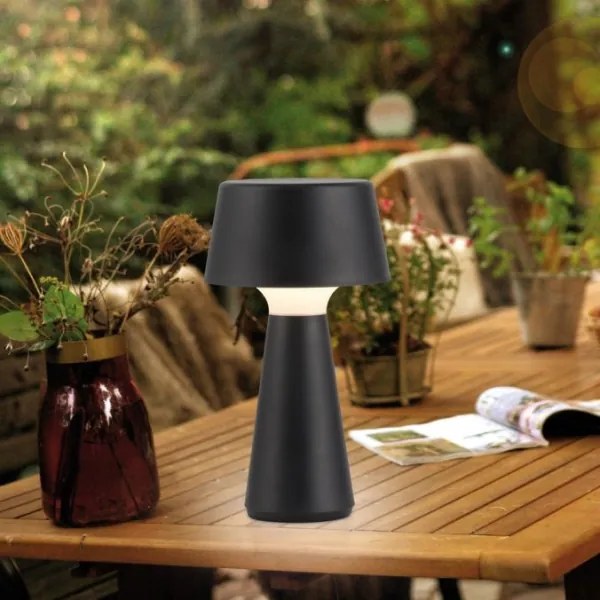 JUST LIGHT. 19260-18 - Lampă LED exterior dimabilă ABERA LED/3W/3,7V IP54