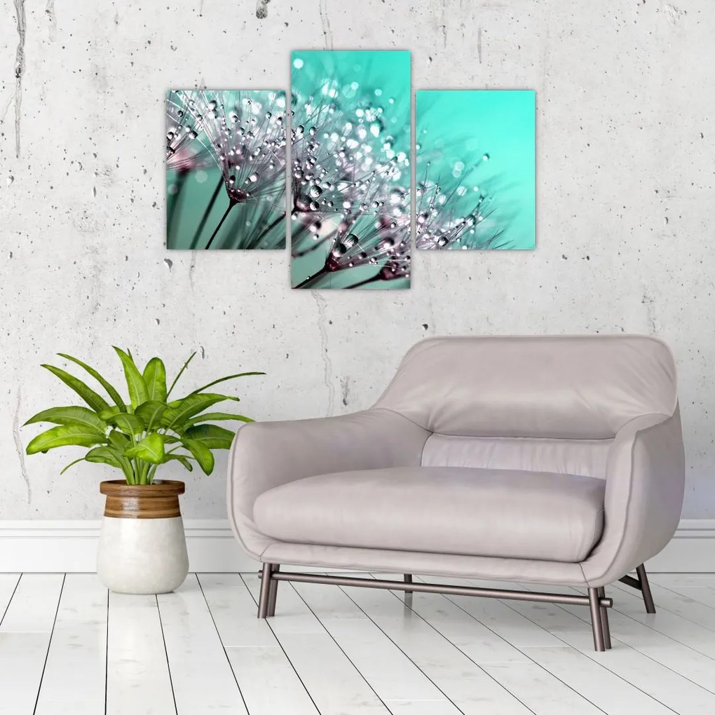 Tablou - planta cu rouă (90x60 cm)