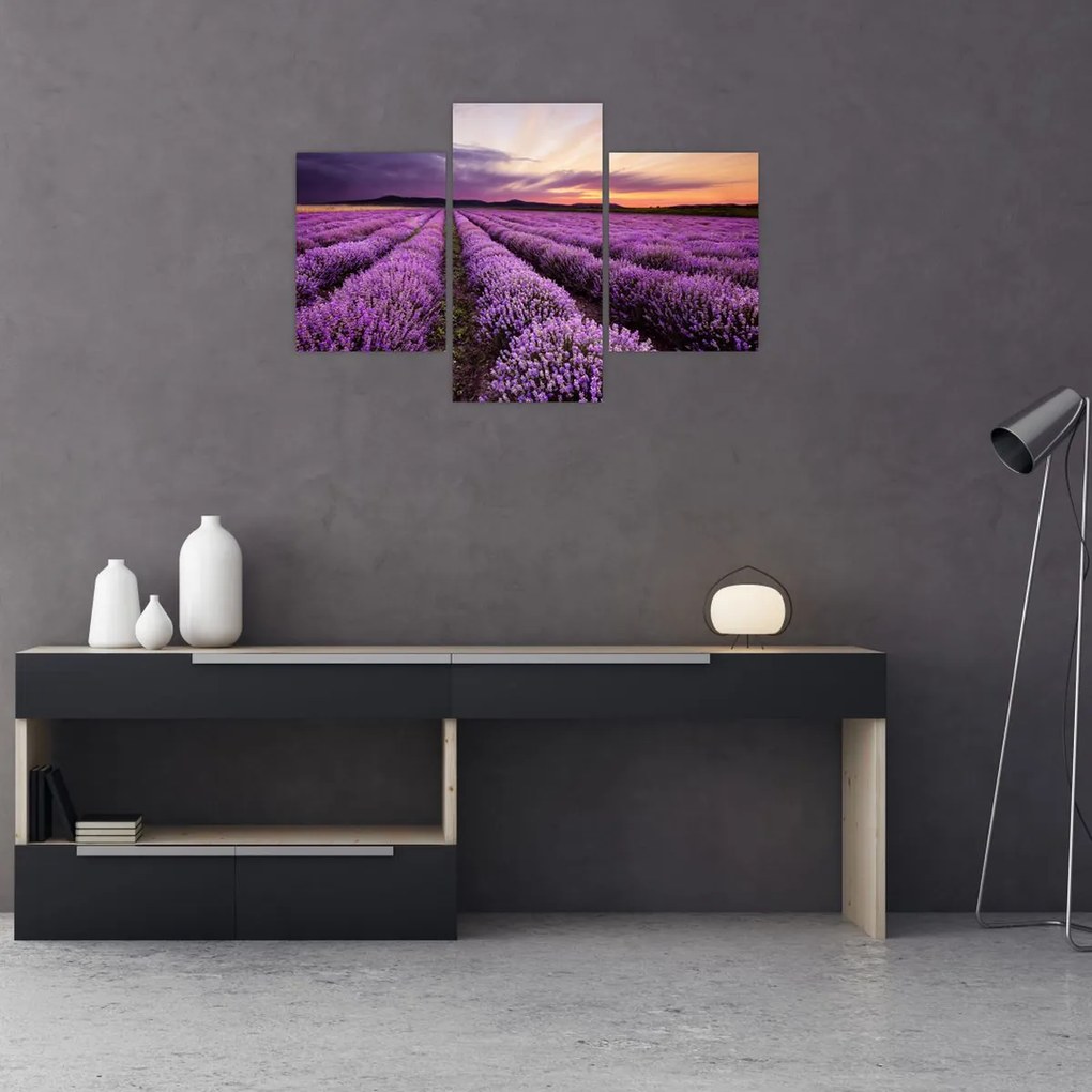 Tablou - Câmp de lavandă la apus de soare (90x60 cm)