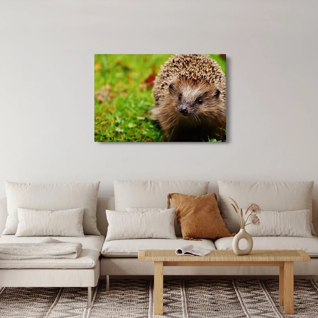 Tablou cu arici (90x60 cm)