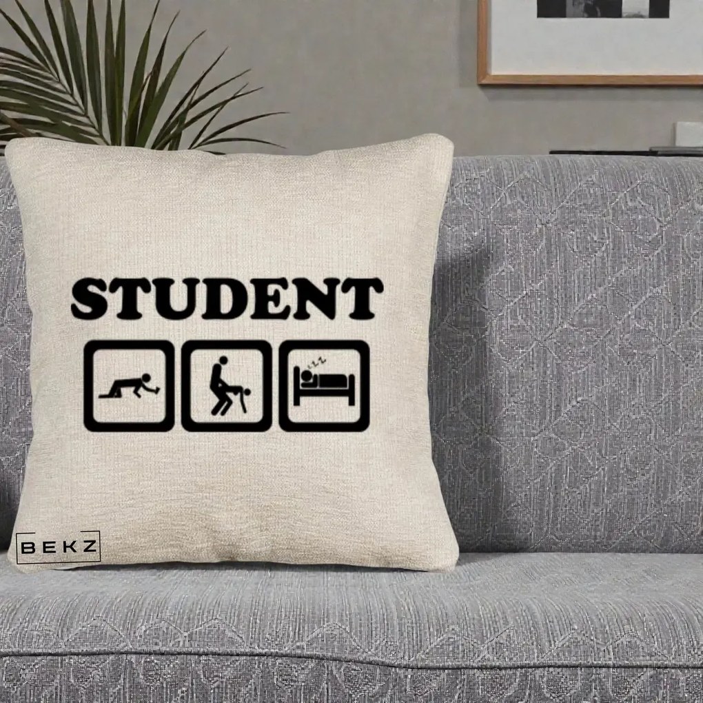 Perna Decorativa Student Life, 40x40 cm, Bej Canapea, Husa Detasabila, Perna Inclusa, BEKZ®