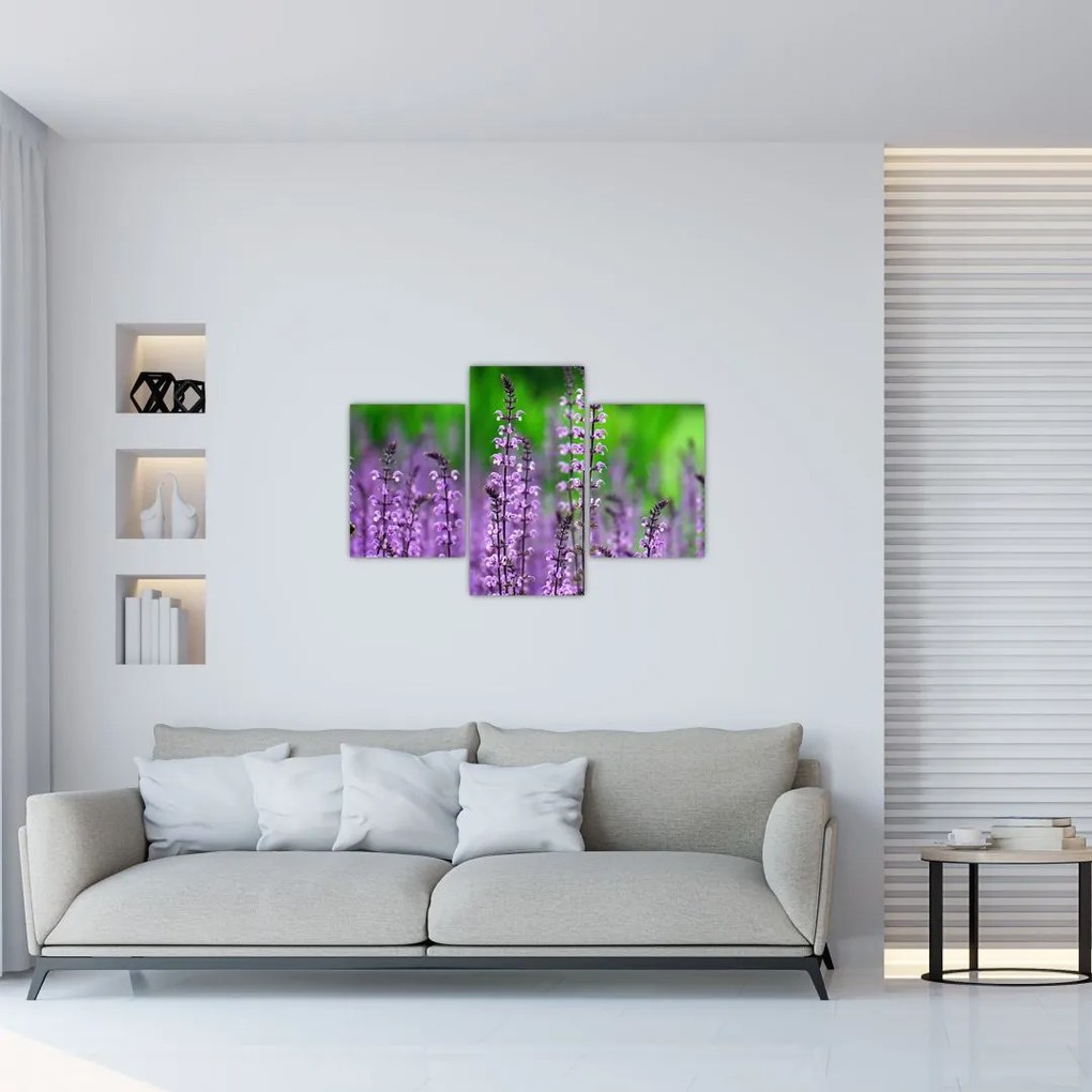 Tablou cu flori de luncă violete (90x60 cm)