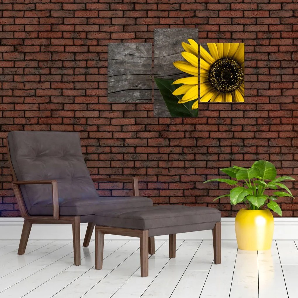Tablou - Floare de floarea soarelui (90x60 cm)
