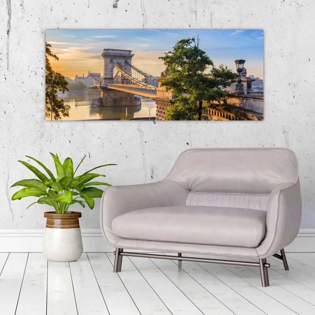 Tablou - Pod peste râu, Budapesta, Ungaria (120x50 cm)