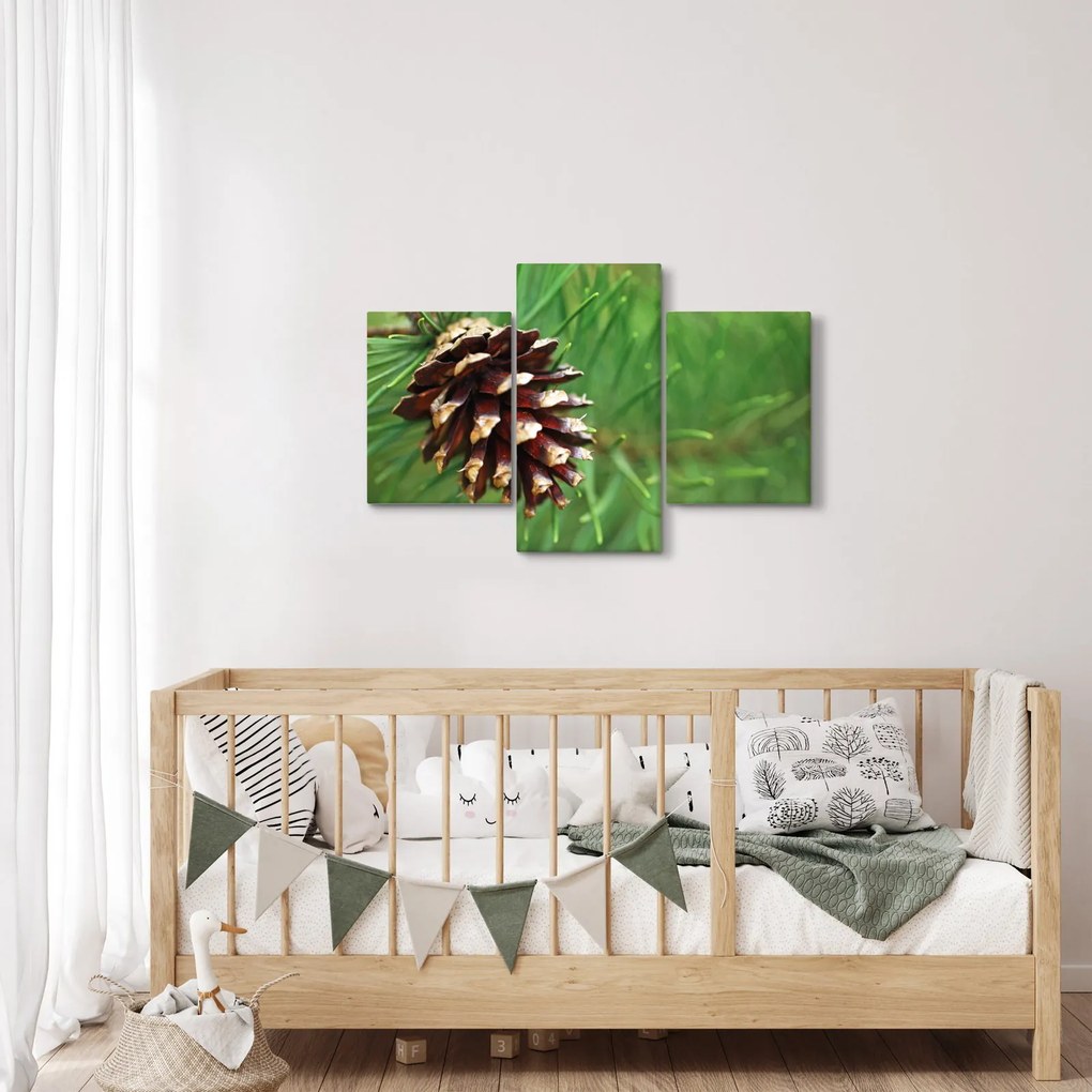 Tablou cu con (90x60 cm)