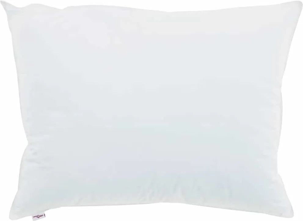 vidaXL Pernă cu pernă 2 pcs Alb 40 x 60 cm Bumbac