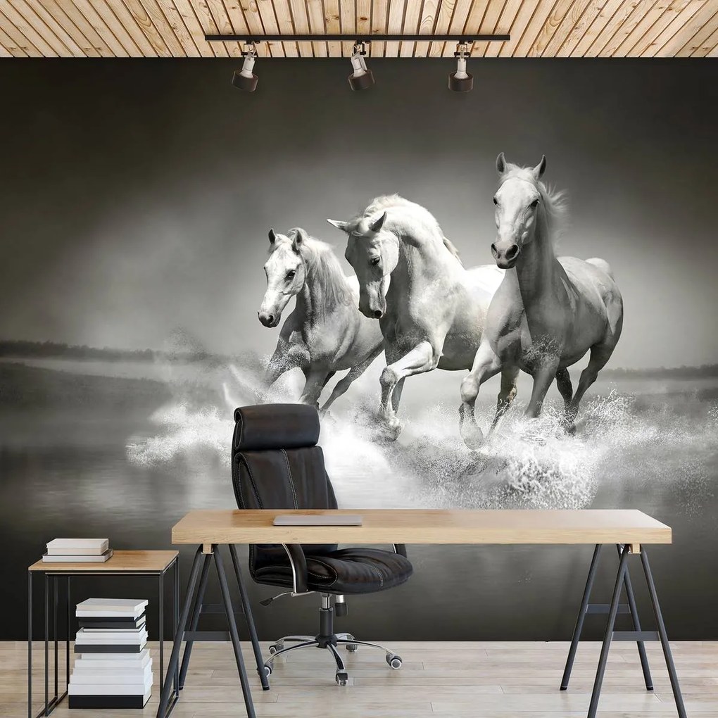 Fototapet - Caii (152,5x104 cm)