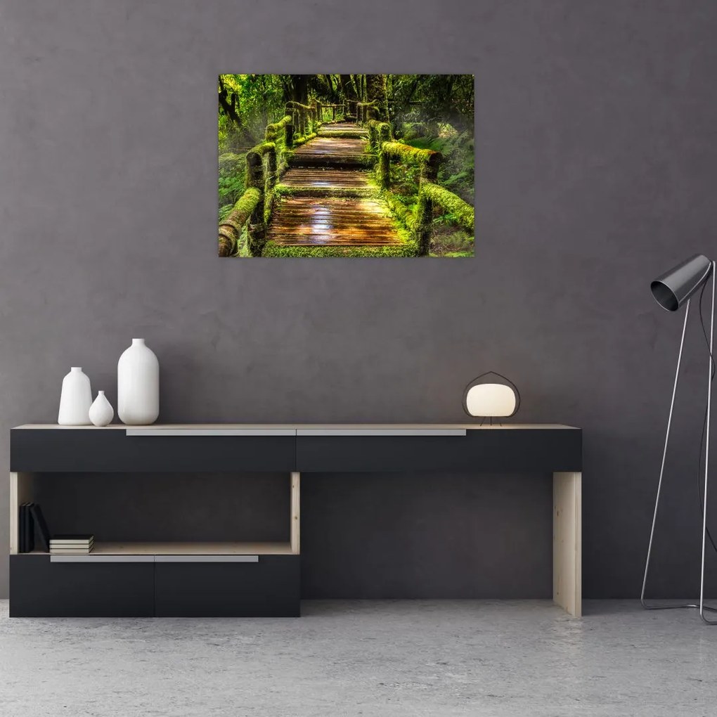 Tablou cu scări într-o pădure tropicală (70x50 cm)